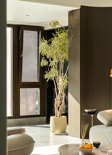 全国人大代表、南京天加环境董事长蒋立建议建设零碳示范场景