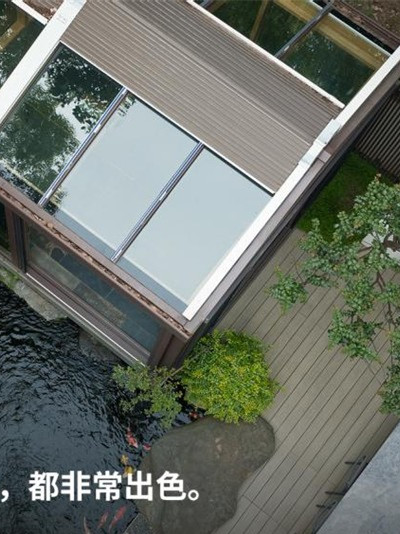 春节放烟花，炸出了多少“哀哀怨怨”